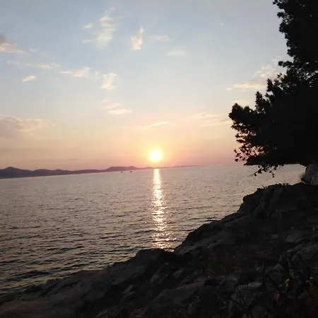 Solis * 扎达尔
